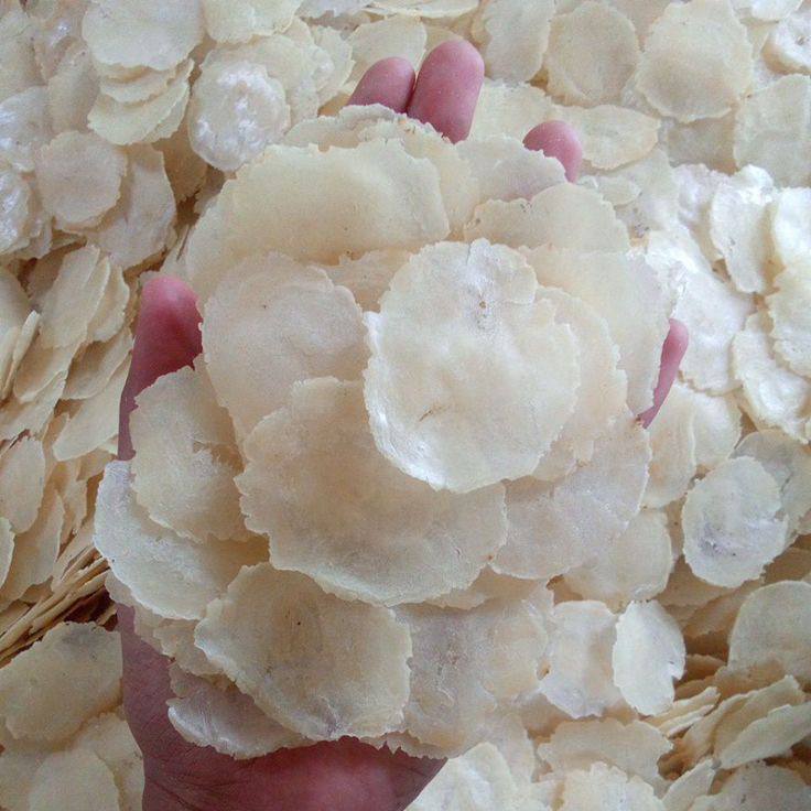 Raw Melinjo Chips